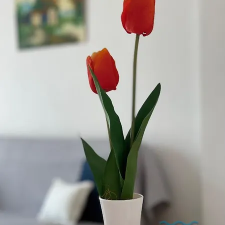 Apartbeach Fluromar Relax Climatizado Y Junto Playa Apartment
